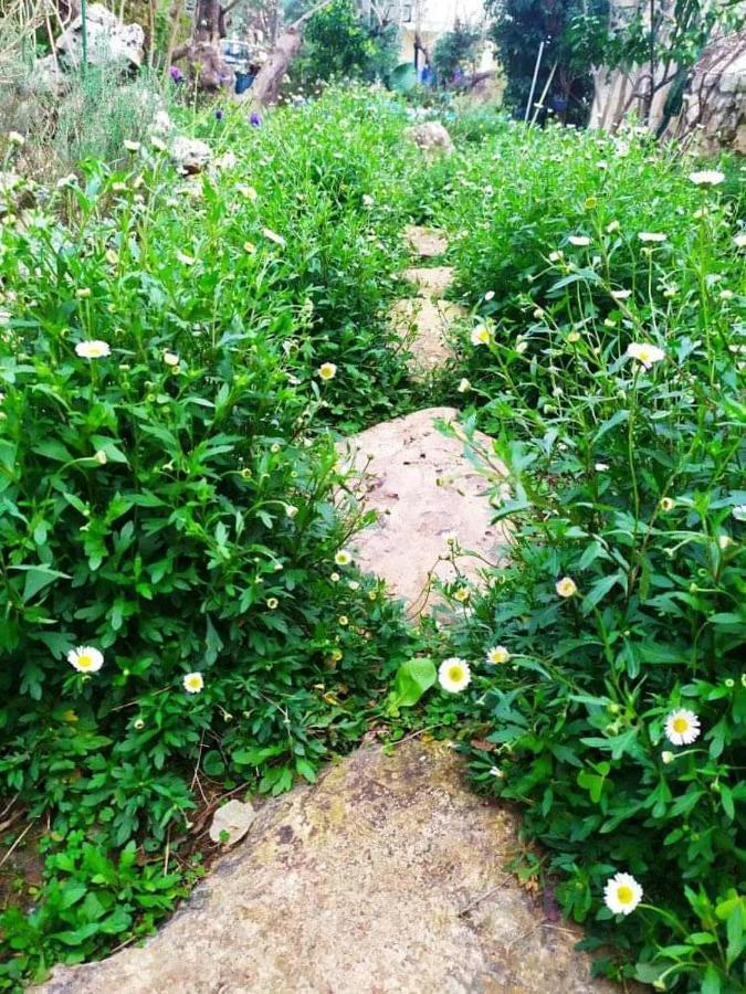 Olive Lemon Biophilic House & Lush Forest Garden バモス エクステリア 写真